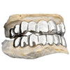 Real Solid 10K White Gold or 14K White Gold Teeth Permanent Cuts Perm Custom Grillz